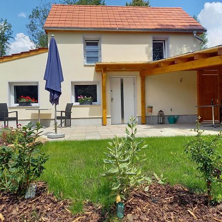 Ferienhaus Richtermuehle Sebnitz Exterior photo