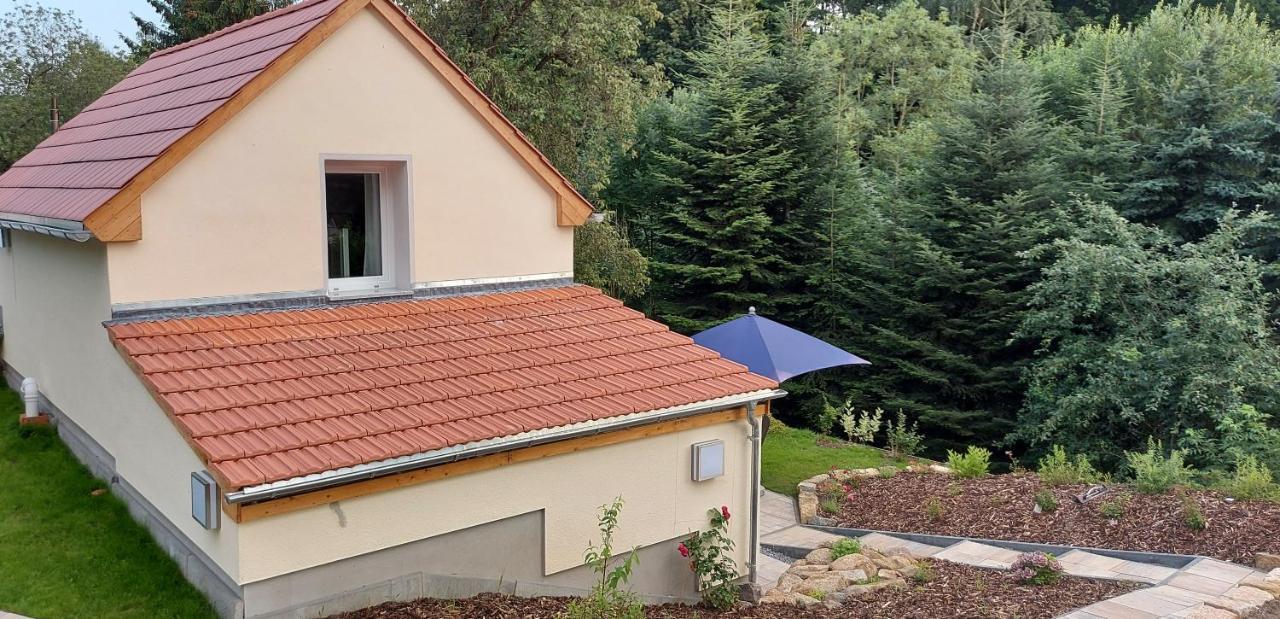 Ferienhaus Richtermuehle Sebnitz Exterior photo